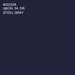 #22223A - Steel Gray Color Image